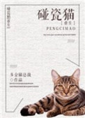 巨胃猫总在碰瓷